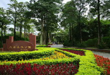 澎湖大安森林公園天氣預(yù)報(bào)與景觀設(shè)計(jì)指南